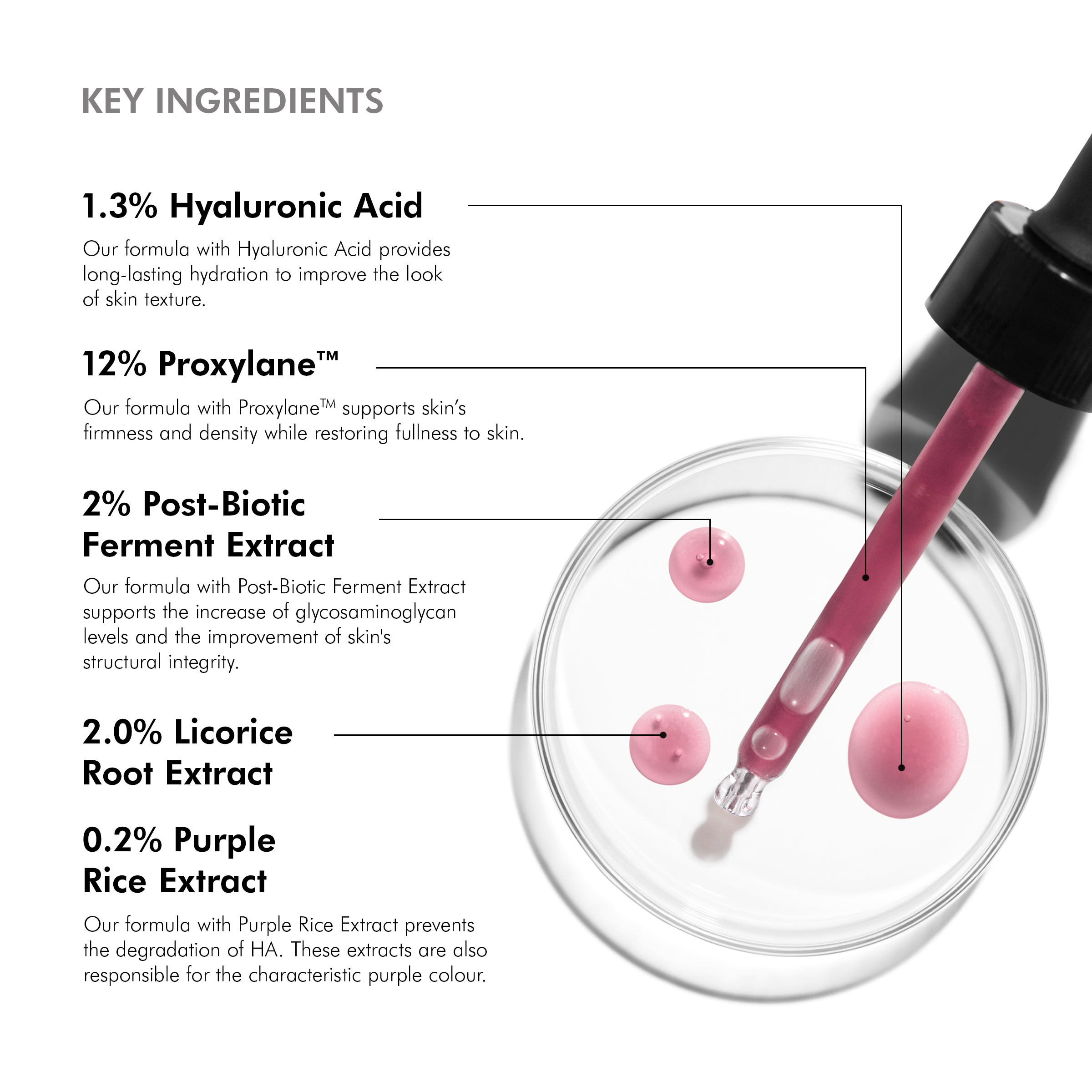SkinCeuticals HA Intensifier Multi-Glycan - Image 3